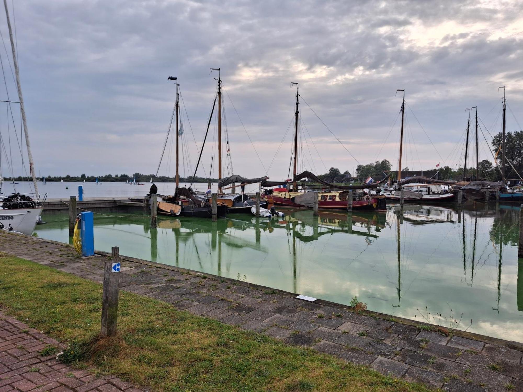 Chalet Babbelaar 6 - Premium Locatie Lauwersoog Exterior foto